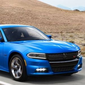 Meet your Posher, Roger